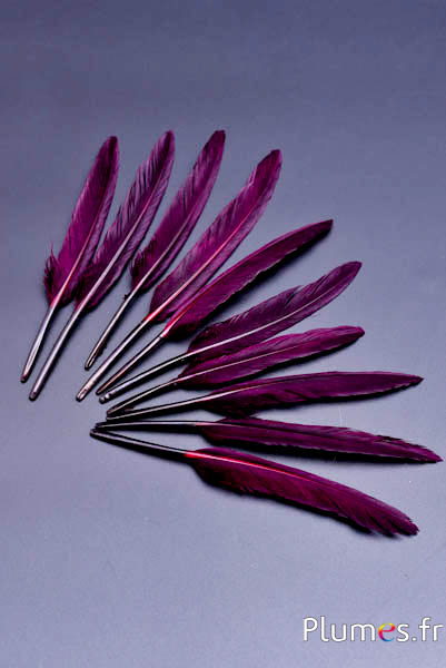 Oie Lame - 10-15 cm - bordeaux